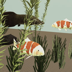 Freshwater Fiefdom
