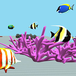 Rainbow Reef