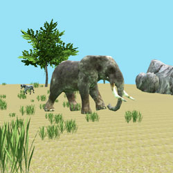 African Savanna